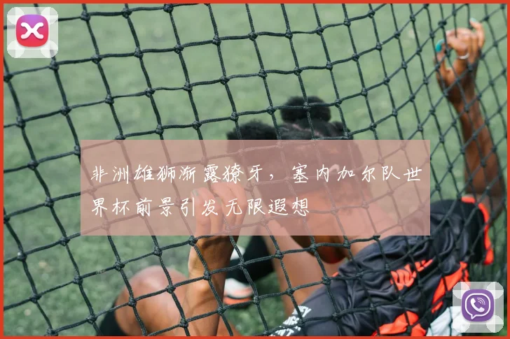 非洲雄狮渐露獠牙，塞内加尔队世界杯前景引发无限遐想