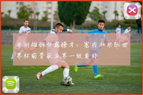 非洲雄狮渐露獠牙，塞内加尔队世界杯前景获业界一致看好