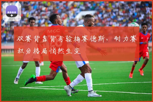 双赛背靠背考验梅赛德斯，耐力赛积分格局悄然生变